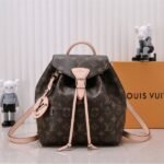 Louis Vuitton Monogram Canvas Montsouris PM Backpack