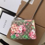 Dionysus GG Supreme mini bag - Image 2