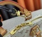 Louis Vuitton Monogram Dune Canvas Alma BB Bag - Image 8