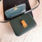 Top Quality Fake Celine Classic Box Teen Bag In Amazone - Image 8