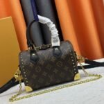 Louis Vuitton Monogram Canvas Cruise 2025 Speedy 20 Trunk Bag In Black