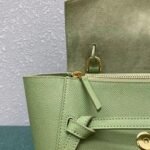 Celine Belt Nano Bag Fake in Sage - Image 5