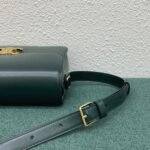 Top Quality Fake Celine Triomphe Large Bag In Amazone - Image 12
