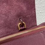 Celine Micro Belt Bag Knockoff in Bordeaux - Image 5