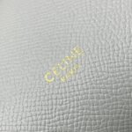 Celine Belt Nano Bag Imitation in Vert D eau - Image 4