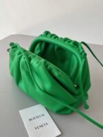 Fake Bottega Veneta Mini Pouch with Strap Parakeet - Image 5