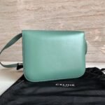 Top Quality Replica Celine Classic Box Medium Bag In Celadon - Image 7