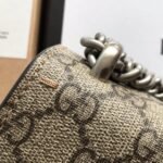 Dionysus GG Supreme mini bag - Image 9