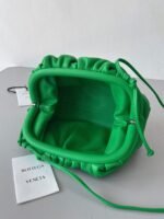 Fake Bottega Veneta Mini Pouch with Strap Parakeet - Image 8