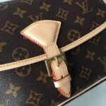 Louis Vuitton Sologne Monogram Shoulder Bag - Image 5