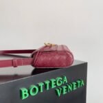 Replica Bottega Veneta Mini Andiamo Cross-Body Bag Fondant - Image 2