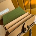 Dionysus super mini bag - Image 7