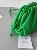 Fake Bottega Veneta Mini Pouch with Strap Parakeet - Image 9