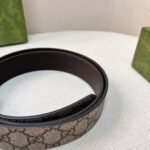 GG belt with silver buckle - Image 5