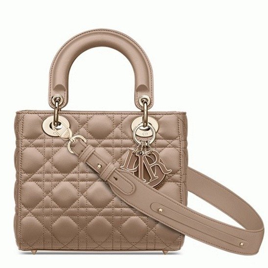 34B325C7-FE94-2436-369D-8F1C16C2EFA6.jpg Dior Small Lady Dior My ABCDior Bag Fake in Warm Taupe - Image 1
