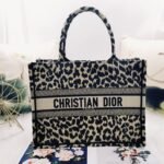 Dior Book Tote