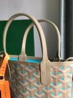 Goyard poitires bag - Image 8