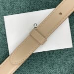 Top Quality Imitation Celine Triomphe Medium Bag In Nude - Image 8