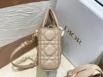 Dior Lady D-Joy Medium Bag Replica in Sand - Image 10