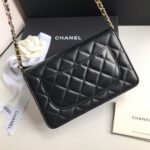 Chanel WOC - Image 5