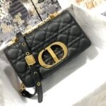 Dior Caro