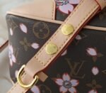 X TM Monogram Canvas Boulogne PM With Cherry Blossom - Image 9