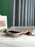 Goyard poitires bag - Image 9