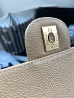 Chanel Flap Bag - Image 7