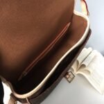 Louis Vuitton Sologne Monogram Shoulder Bag - Image 7