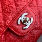 Chanel Flap Bag - Image 6