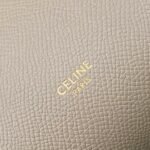 Celine Micro Belt Bag Fake in Light Taupe - Image 9