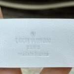 LV Detroit - Image 6