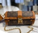 Louis Vuitton Monogram Canvas Papillon Trunk Bag