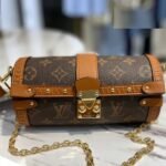 Louis Vuitton Monogram Canvas Papillon Trunk Bag