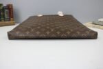 Louis Vuitton Carry It - Image 4