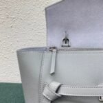 Celine Micro Belt Bag Replica in Mineral - Image 7