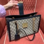 Gucc1 padlock - Image 7