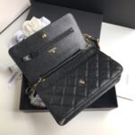 Chanel WOC - Image 6