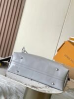 LV CarryAll Cargo PM - Image 6