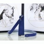 Blue Electric Evelyne II TPM Bag Fake Hermes Small Shoulder Bag - Image 7