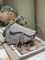 Dior Oblique Saddle Bag