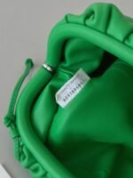 Fake Bottega Veneta Mini Pouch with Strap Parakeet - Image 4