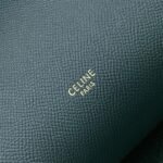 Celine Micro Belt Bag Fake in Amazone - Image 10