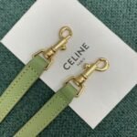 Celine Belt Nano Bag Fake in Sage - Image 6