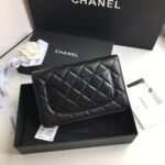 Chanel WOC - Image 3