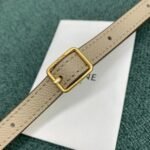 Celine Belt Nano Bag Knockoff in Light Beige - Image 11