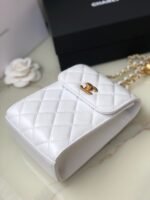 CHANEL CLUTCH - Image 9