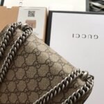 Dionysus GG Supreme mini bag - Image 8