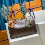 Louis Vuitton Speedy Soft 30 Boho