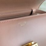 Top Quality Replica Celine Classic Box Teen Bag In Antique Rose - Image 4